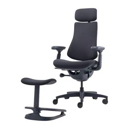 LiberNovo Omni 48 cm Ergonomic Chair (Black)